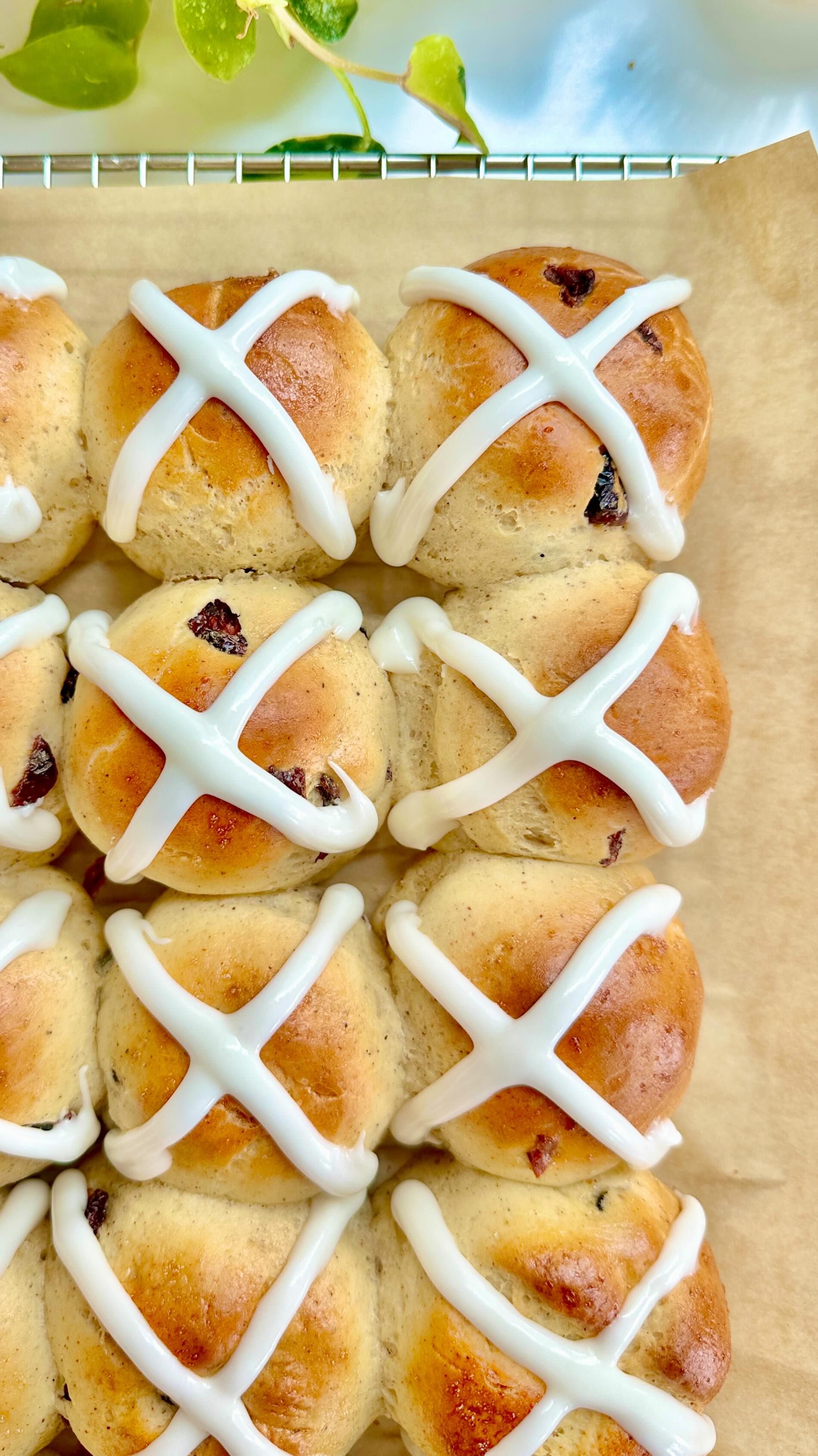 g/f HOT CROSS BUNS - filled with craisins & warm spices, great for Good Friday (for those that celebrate) & such a fun, sweet drizzle up on top—perfect to enjoy while reading your new favortite book (aka Project Hail Mary 🙌🏻) & a sip of something delicious!
.
Comment: RECIPE for a direct link to be sent to your DMs - otherwise follow the link in bio 
.
https://foodsocial.io/recipe/hot-cross-buns-gluten-free/
@foodsocial.io @organicvalley 

#glutenfree #goodfriday #easyrecipe